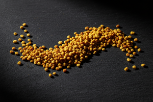 Bijenpollen