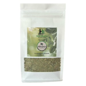 Mango Bladeren hyperherbs.nl natuurlijke kruiden adaptogenen